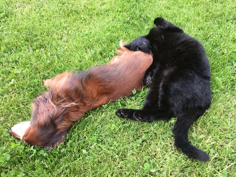 [Image: 539-F44-E1-8-B63-4259-9761-BEC8-B6321260.jpg]