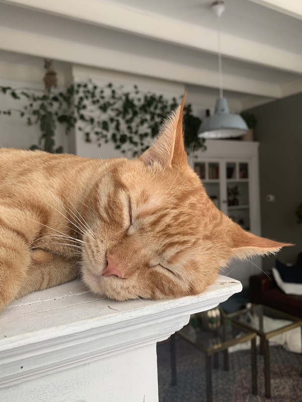 6FE9BC79-C44B-4C25-8F2B-EAC858B1070E