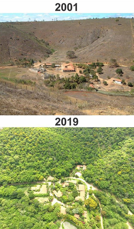 comparison-3
