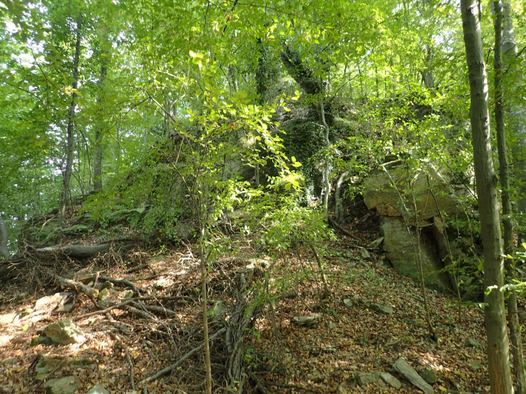 RUTIZAM SRBIJA - DragoševacJerinin grad (jagodinski) (1)