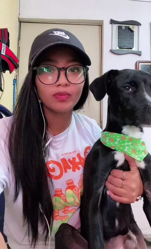 Mujer se queda sin ahorros por culpa de su mascota