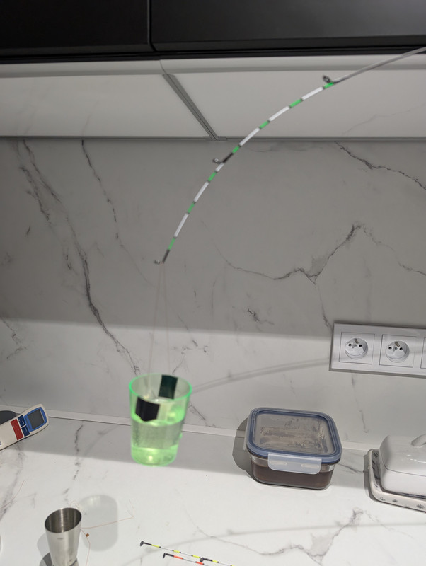 PXL 20260212 145236651