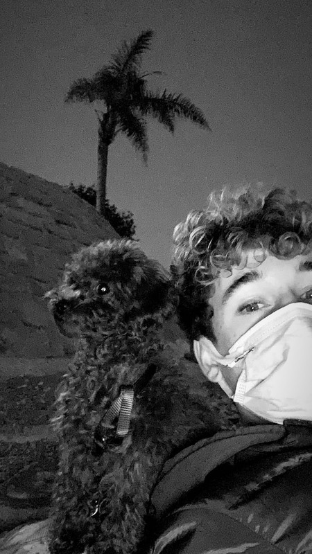 я юмор куки голандец