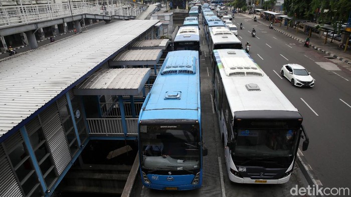 busss.jpg