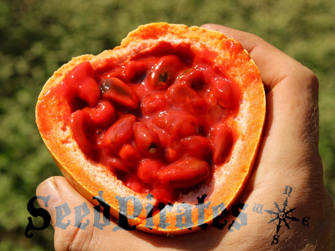 6200BD4E-3769-4456-B0B9-44431104CEF0