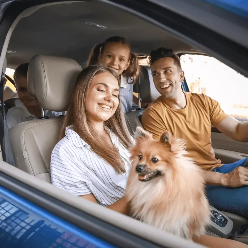 Resultado 6