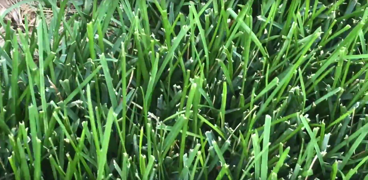 Screen Shot 2018-06-29 at 6.18.20 PM