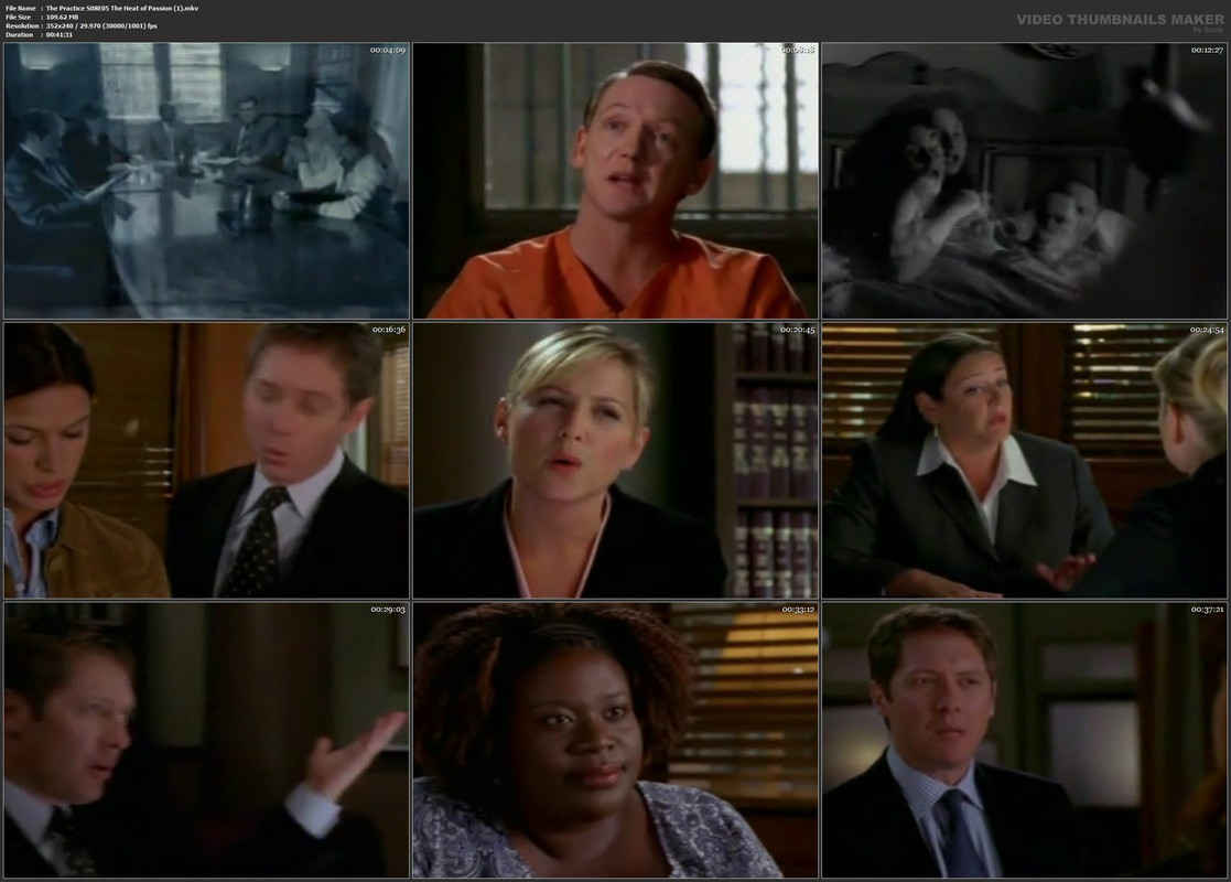 The Practice S08E05 The Heat of Passion (1).mkv