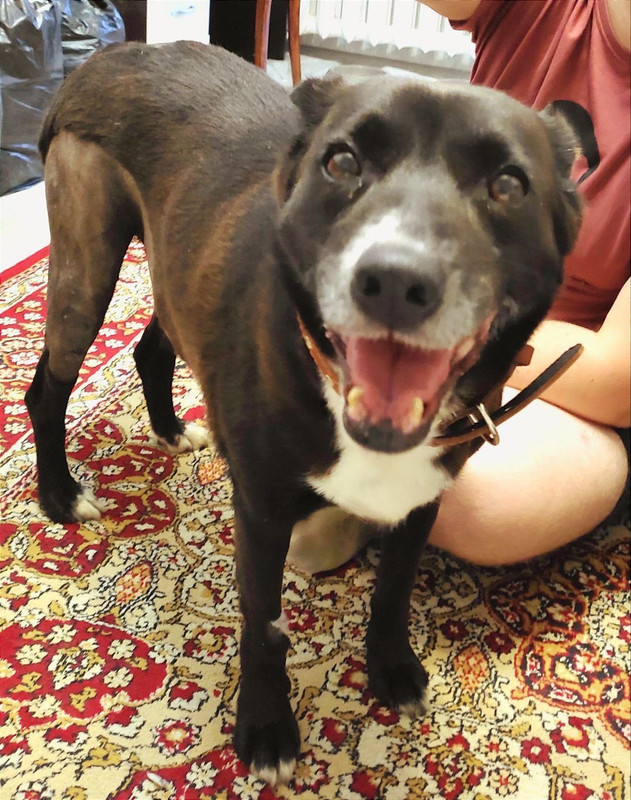 94F933CE-23EF-447A-A56B-0DE18591FFC1