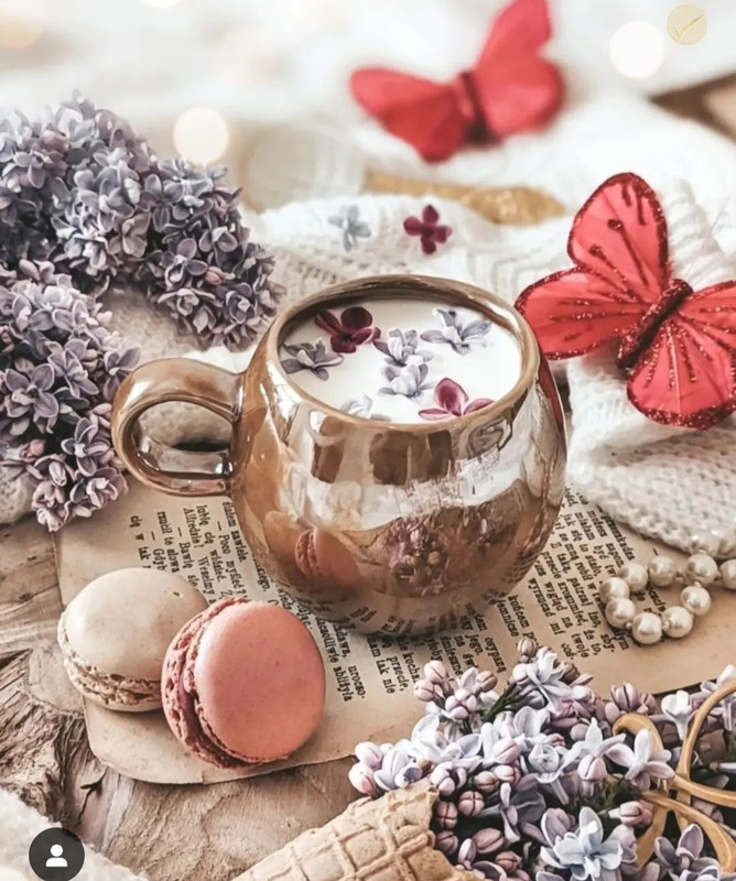 Screenshot_20231204_002752_Instagram