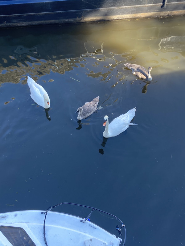 47D89EBE-019D-41FC-A2CF-0AD4A9A6FF1D