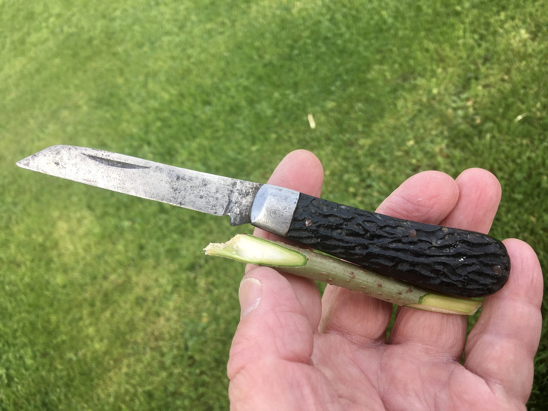 2BD14042-E0A8-46E8-ABF9-8F1AD1D1BC3B