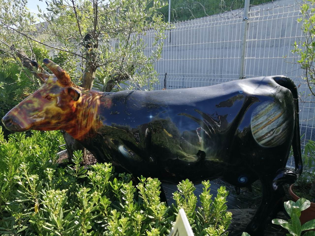 IMG-143ecd56b59e1446394e492c5f849b49-V-1