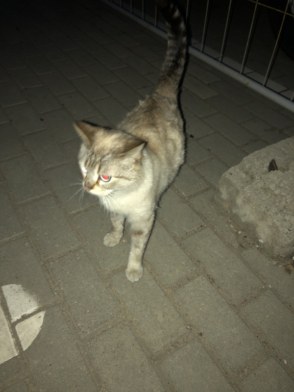 059AF23F-A40B-4831-B61A-6216101BBFA4