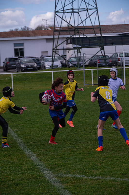 tournoi-de-latlantique-2026-adonis-griffon-221-55180371387-l