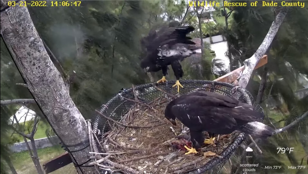 21333E9A-D8AE-4449-B311-87BB2ED4D547