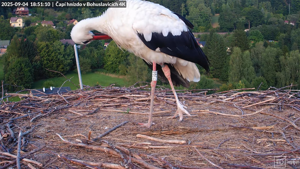 Tiešraide no KARA uzņēmuma stārķu skursteņa Bohuslavicē netālu no Trutnovas 10-39-55 screenshot