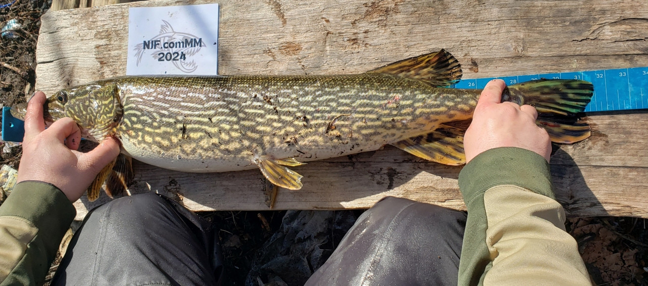 Resized_Resized_20240308_094147