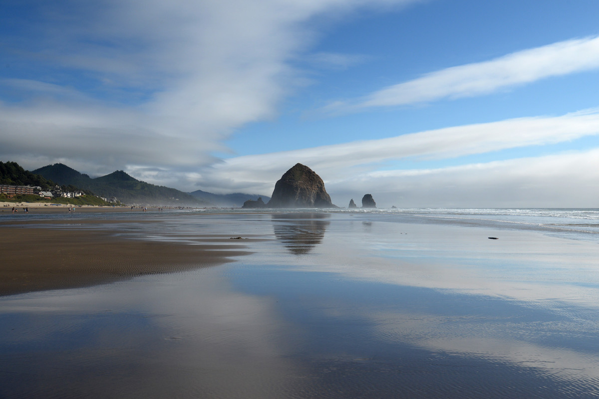 Árboles gigantes, fuegos y volcanes extintos - Oregon y California norte (2018) - Blogs de USA - Portland y costa de Oregon (12)