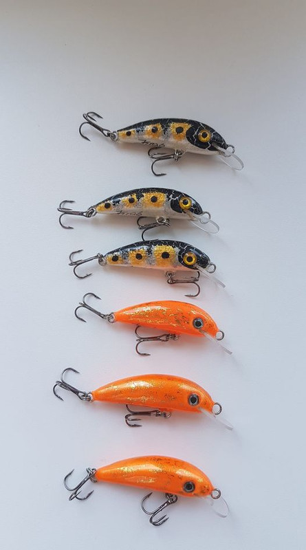 189346513-1932269073605930-5128719617801