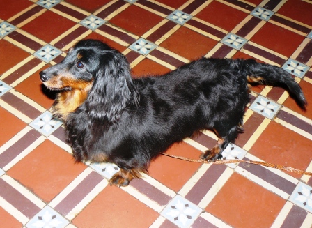 [Image: P1100925.jpg]