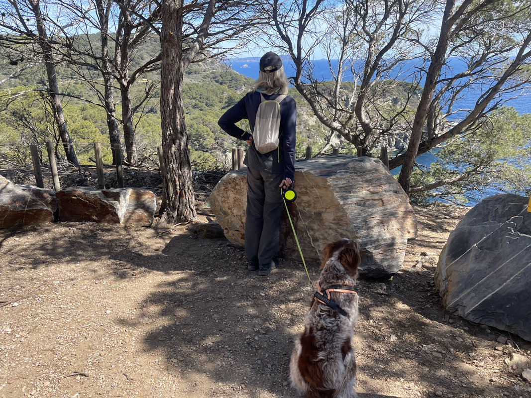 1B7F9845-768E-4500-AFB2-3B25BF2BC538