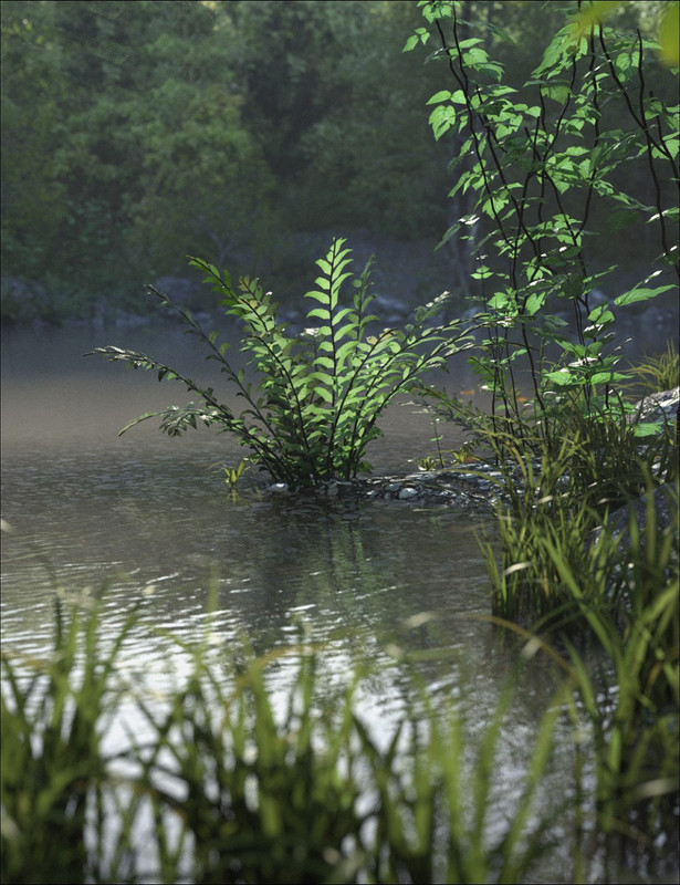 Fern Lake Bundle