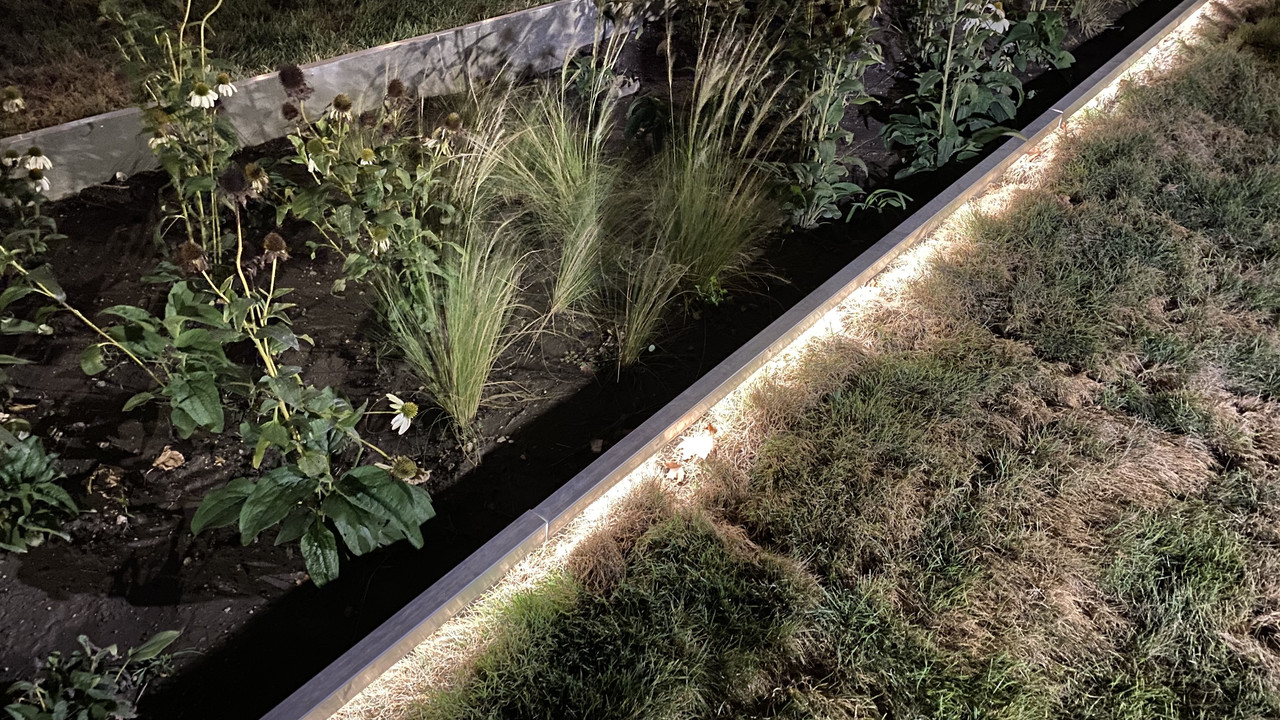 8FCED5B0-80DF-41EC-A06E-82EB2A967A29