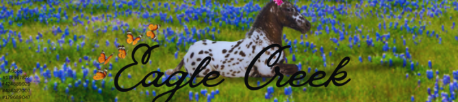 Untitled-design-2.png