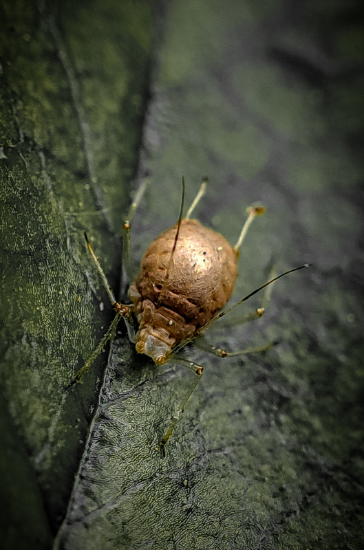 IMG_20210616_143451_1(1)