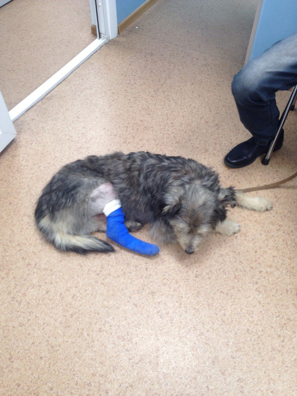 0E826017-5C21-4BA5-BE46-E9214AB34956