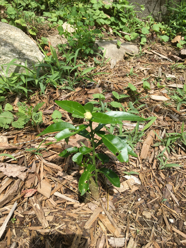 D0A685E8-E064-4D8B-8706-A277554BD8CB