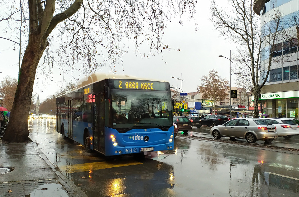 Mercedes #1006(1)