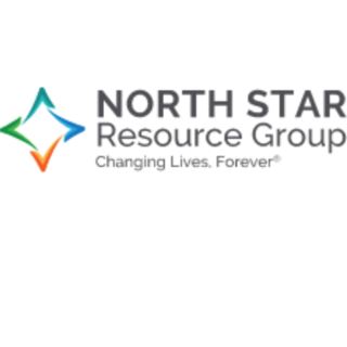 North Star Consultants of Texas - Dallas logo