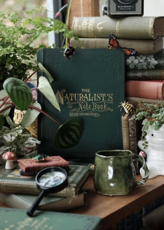 Screenshot_20240502_231324_Pinterest