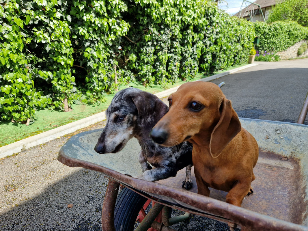 [Image: 20240505-144426.jpg]