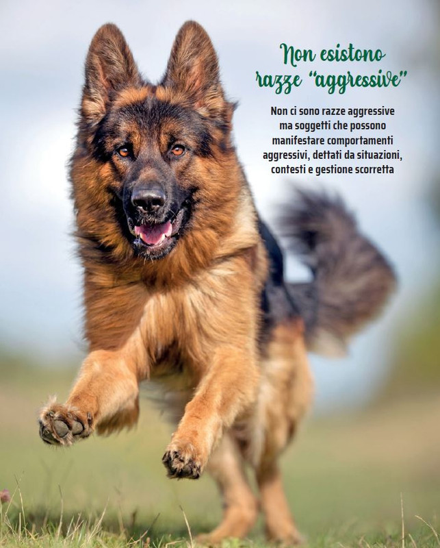 QuattroZampe Feb 2022 (6)