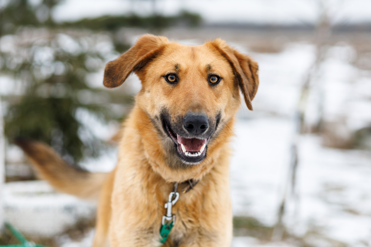 RRDaPGIDaq6DTzmuK1VD5CWGSY_37cu_dLO3QBDKpLHhN0oKdPJEXQNUq-cX2YmsDi0dT7kpUGyJB7pGP1o8GA==?uid=0&filen