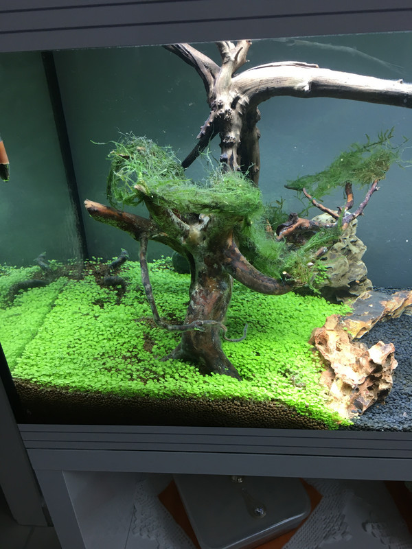 E96E5154-AB6D-467A-84ED-56830325FE50