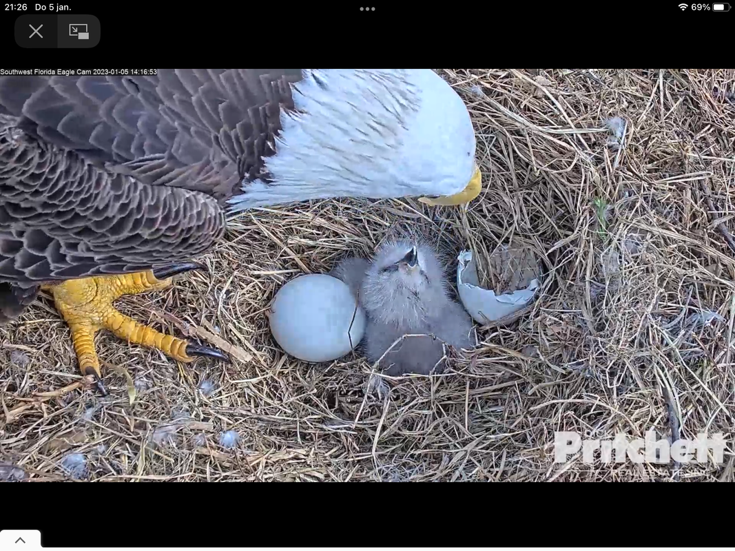 3EB2ADF5-F60E-407F-A16C-4EA93A053030