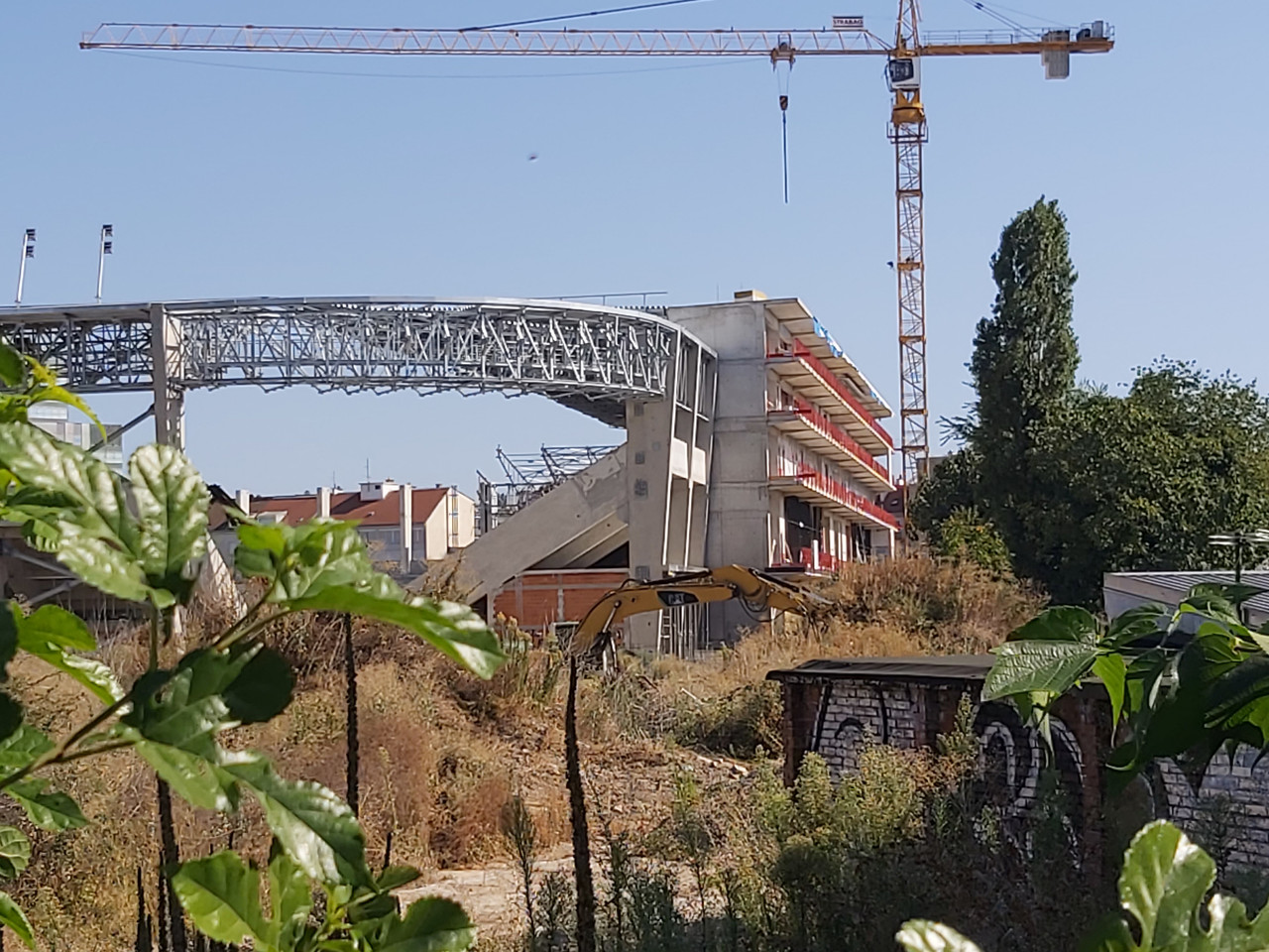 adzijina-20260810-04.jpg
