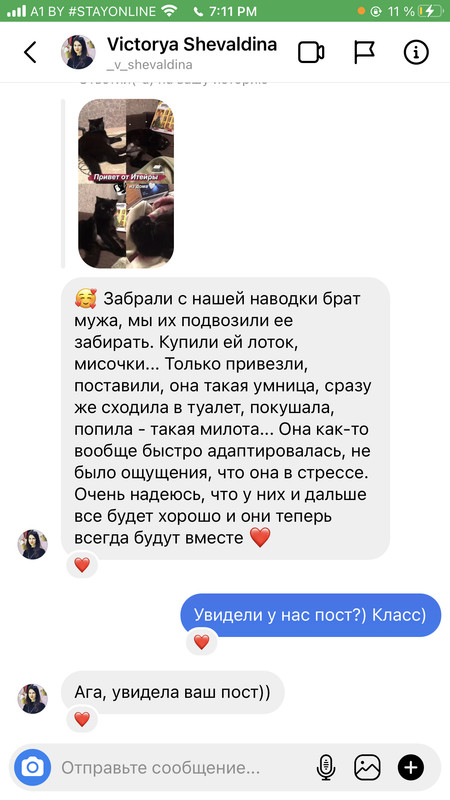 B9A3B264-E2C2-4A2D-9351-28B846C189B9