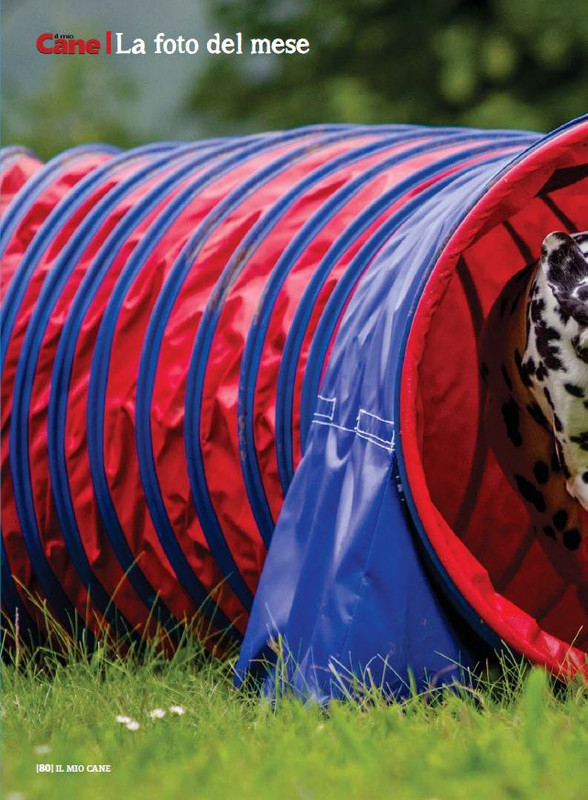 Il M C Nov 2022 (11)