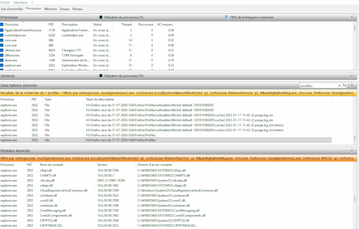 Moniteur de ressources pour FFox copie