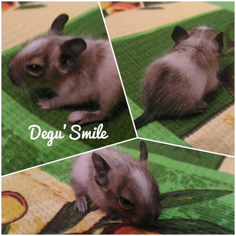 IMG_20170222_232723_043