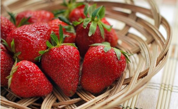 Do conures Eat strawberries