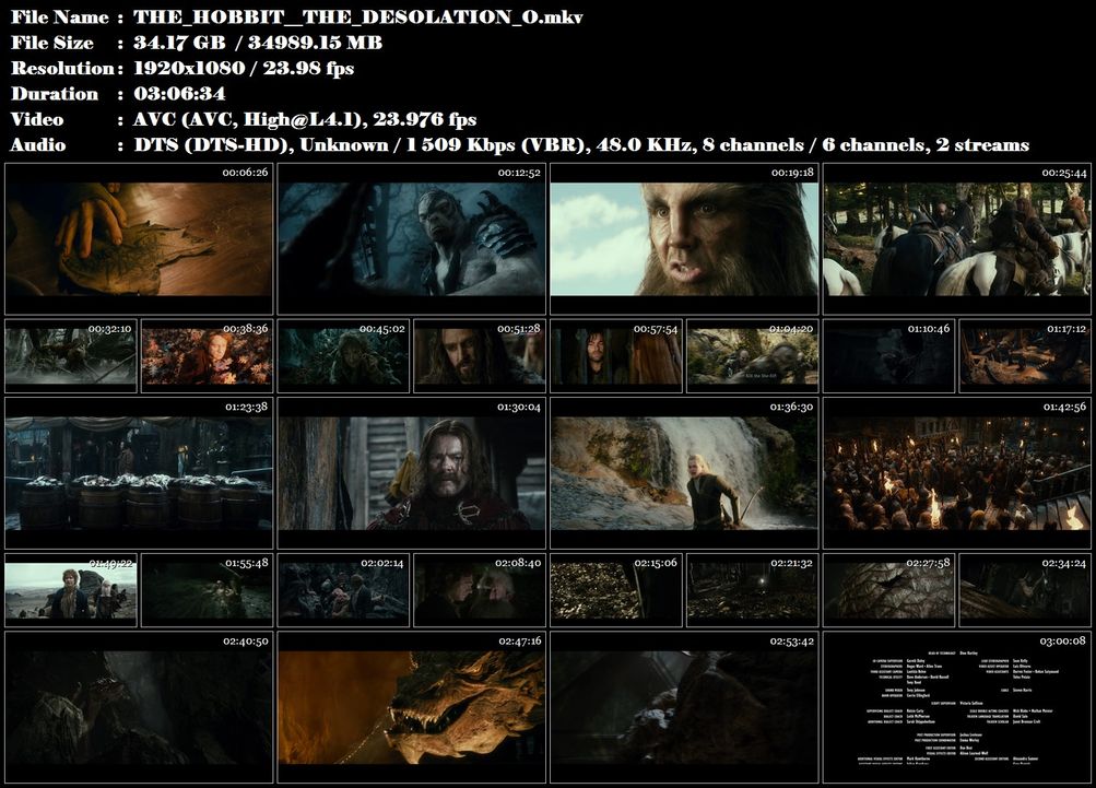 Re: Hobit: Šmakova dračí poušť / Hobbit: Desolation ... (201