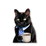 7-D855-FB8-4-B58-47-F9-9631-FC32778173-F6.png