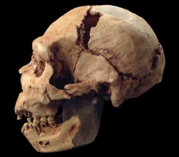 [Immagine: Atapuerca-5.jpg]