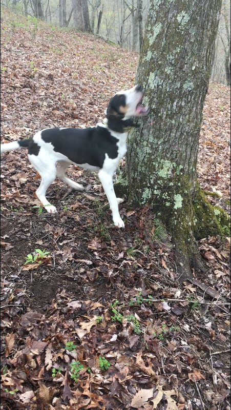 F5151465-53FA-491F-AF9E-ABB25B1E7F56